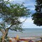 Beach impression - West Papua