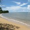 Pantai Kasuari - Cassowary Beach - Papua