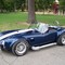 One bad cobra