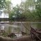 Sugar Creek