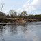 Happy Island, Chippewa River, WI