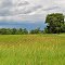 Rural Dunn Co.