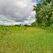 Lower Chippewa River State Natural Area