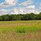 Lower Chippewa River State Natural Area