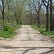 Georges Creek Rd.