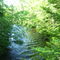 Brule River
