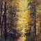 Autumn Lane