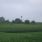 Countryside, Lafayette County, WI