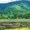 View of Waduk Saguling