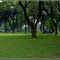 BSD City Park