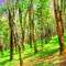 Hutan Pohon Karet