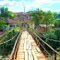 Traditional Bridge
