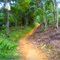 Mountain Bike Track