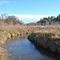 Little Bear Creek