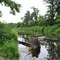 Rush River, below STH 29, Pierce Co., WI