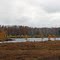Wisconsin Bog Fall