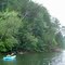 Bald eagle by Lake Nancy