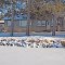 7644 W Whitetail Dr, Minong, WI