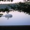 Pontoon Boat on Hodstradt Lake