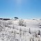 Barneveld Farmland