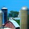Fountain Dairy Farm