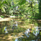Beasley Creek, Chain O'Lakes, Waupaca, WI