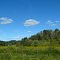 Ashley Wetland Restoration