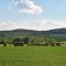 Trempealeau Co.