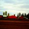 Dairy Farm in Leeds