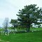 Moravian Cemetery