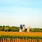 Farm with Four Silos