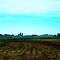 Dane County Farmland