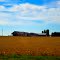 Farm with Three Silos