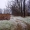 Trail turns East back to Burks Branch