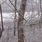 Winter 2006