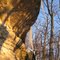 Ridgeway Pine Relict State Natural Area