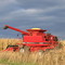 Farm