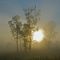 Early Spring Morning