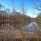Bear Creek