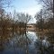 Floodplain Forest