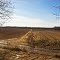 Pepin Co. Cropland