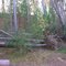 Tornado Damage_2
