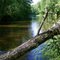 The St Croix River near Grantsburg Wisconsin