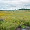 Fish Lake Meadow State Natural Area