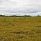 Fish Lake Meadow State Natural Area