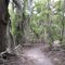 Mandalay Nature Trail