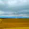 Epic Wind Farm