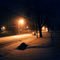 Blizzard on Thorne St., Ripon WI