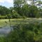 Lagoon in Sunnyside Conservancy