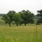 Middle of Nowhere, WI